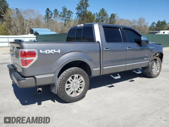 2013 Ford F-150 XL with VIN 1FTFW1ET3DFB85584, listed as a Copart auction lot 50099485 with 204,731 mi miles and Salvage Title. Bid and sale history available at carsss.com. Image 3.