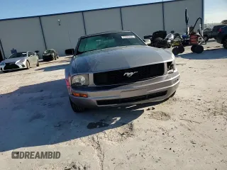 2006 Ford Mustang Standard with VIN 1ZVFT84N965262467, listed as a Copart auction lot 49697655 with 171,122 mi miles and Salvage Title. Bid and sale history available at carsss.com. Image 11.