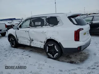 2024 Kia Telluride S with VIN 5XYP6DGC2RG564261, listed as a Copart auction lot 45869985 with 4,606 mi miles and Clean title. Bid and sale history available at DreamBid. Image 2.