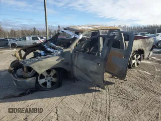 2009 Dodge 1500 SLT with VIN 1D3HV13T19S720304, listed as a Copart auction lot 87375364 with Not Provided miles and Non Repairable. Bid and sale history available at carsss.com. Image 1.