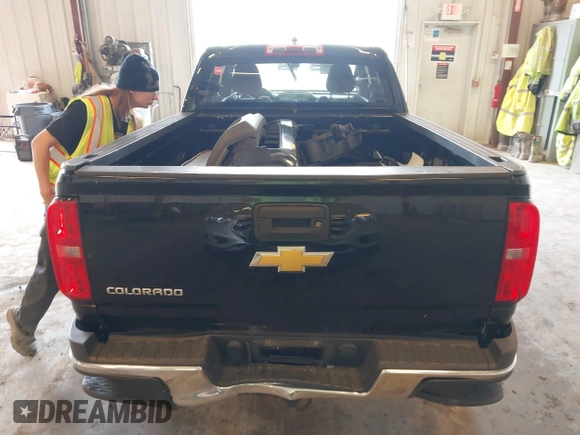 2018 Chevrolet Colorado 2WD Work Truck with VIN 1GCHSBEA8J1325520, listed as a IAAI auction lot 42254591 with 204,884 mi miles and . Bid and sale history available at DreamBid. Image 17.