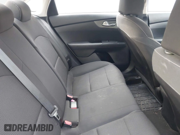 2019 Kia Forte LXS with VIN 3KPF24AD3KE053394, listed as a IAAI auction lot 41960505 with 90,406 mi miles. Bid and sale history available at carsss.com. Image 8.