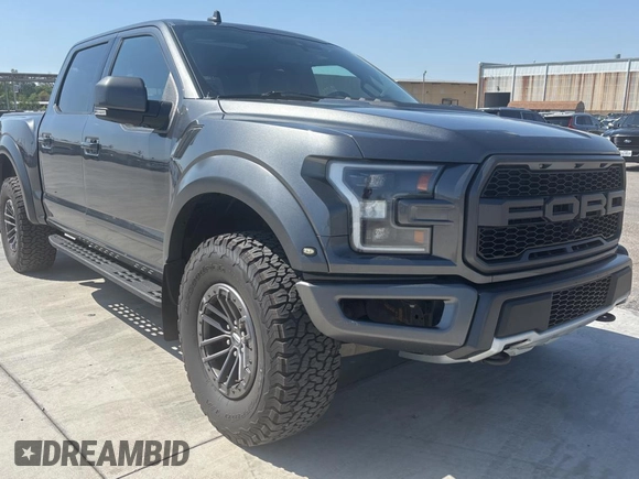 2019 Ford F-150 Raptor with VIN 1FTFW1RG7KFC06785, listed as a Copart auction lot 53731265 with 190,089 mi miles and Clean Title. Bid and sale history available at carsss.com. Image 1.