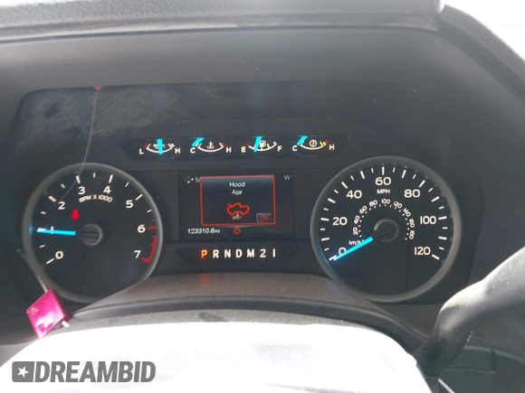 2017 Ford F-150 XL with VIN 1FTEW1EF4HFC38689, listed as a IAAI auction lot 42120928 with 123,310 mi miles. Bid and sale history available at carsss.com. Image 7.