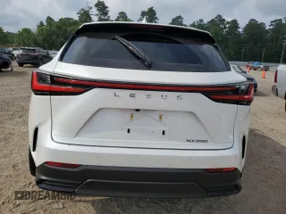 2024 Lexus NX 250 Premium z VIN JTJGDCAZ0R2014142, wystawiony jako Copart lot #57354345 z przebiegiem 1 022 mil mil oraz Szkoda całkowita • Salvage title. Historia ofert i sprzedaży dostępna na DreamBid. Obrazek 6.