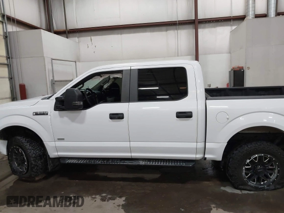 2016 Ford F-150 XLT with VIN 1FTEW1EP3GKE25825, listed as a IAAI auction lot 41254806 with 140,971 mi miles. Bid and sale history available at carsss.com. Image 15.