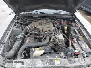 2004 Ford Mustang Standard with VIN 1FAFP40624F233811, listed as a IAAI auction lot 42330396 with 136,091 mi miles and . Bid and sale history available at DreamBid. Image 10.