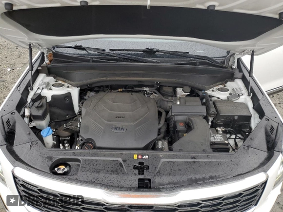 2020 Kia Telluride EX with VIN 5XYP3DHC2LG046777, listed as a Copart auction lot 57917025 with 66,494 mi miles and Salvage title. Bid and sale history available at DreamBid. Image 12.