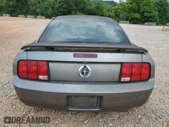 2005 Ford Mustang Deluxe with VIN 1ZVFT80N555169501, listed as a Copart auction lot 64214825 with Not provided miles and Clean title. Bid and sale history available at DreamBid. Image 6.