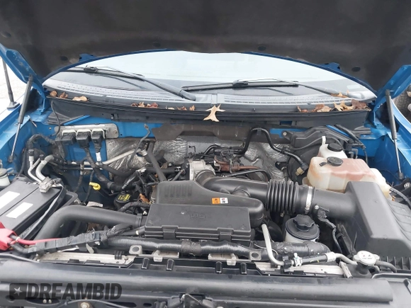 2010 Ford F-150 XL with VIN 1FTEX1EW6AFA32177, listed as a IAAI auction lot 41524783 with 186,145 mi miles. Bid and sale history available at carsss.com. Image 10.