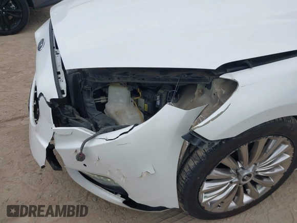 2015 Kia K900 Luxury with VIN KNALW4D48F6018541, listed as a IAAI auction lot 41903807 with 204,202 mi miles. Bid and sale history available at carsss.com. Image 6.