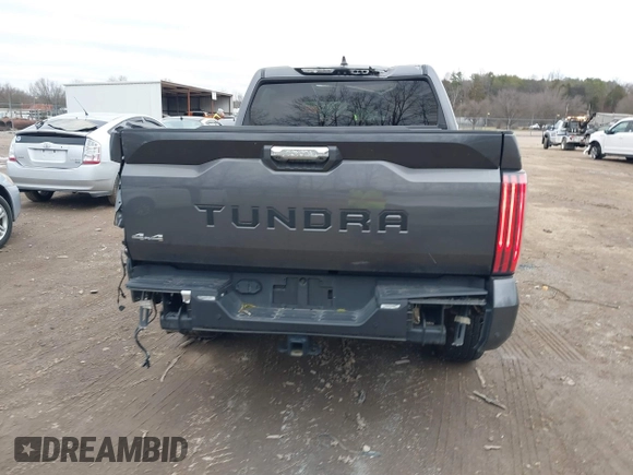 2024 Toyota Tundra 1794 Edition with VIN 5TFMA5DBXRX142402, listed as a IAAI auction lot 41253806 with 17,523 mi miles and . Bid and sale history available at DreamBid. Image 15.