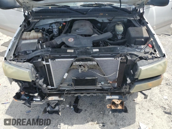 2005 Chevrolet Silverado 1500 LS with VIN 2GCEC19T351259657, listed as a Copart auction lot 60843785 with 162,230 mi miles and Salvage title. Bid and sale history available at DreamBid. Image 11.