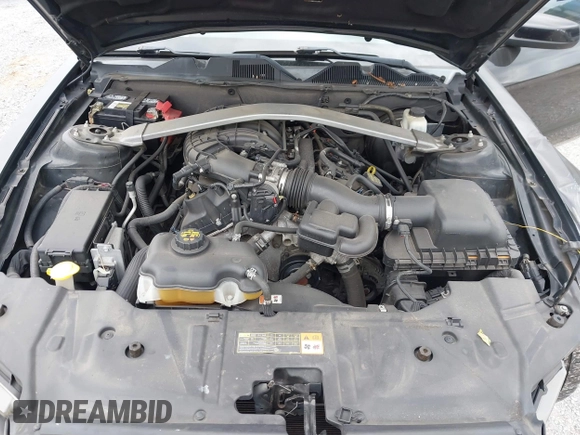 2013 Ford Mustang V6 with VIN 1ZVBP8EM3D5211391, listed as a IAAI auction lot 40585527 with 203,555 mi miles and . Bid and sale history available at DreamBid. Image 10.
