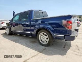 2009 Ford F-150 XL with VIN 1FTPW12V19FA04273, listed as a Copart auction lot 64961855 with Not provided miles and Salvage title. Bid and sale history available at DreamBid. Image 2.