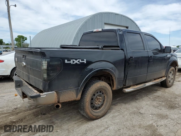 2009 Ford F-150 XL with VIN 1FTPW14V69FB18458, listed as a Copart auction lot 55684195 with 338,034 mi miles and Salvage title. Bid and sale history available at DreamBid. Image 3.