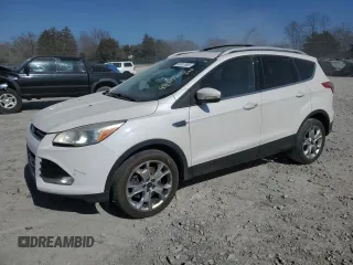 2016 Ford Escape Titanium with VIN 1FMCU0J99GUC34442, listed as a Copart auction lot 48917865 with 175,967 mi miles and Salvage Title. Bid and sale history available at carsss.com. Image 1.