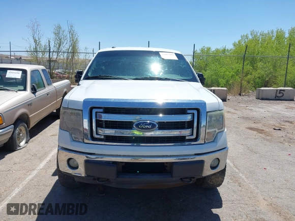 2013 Ford F-150 XL with VIN 1FTFW1ET1DFC20347, listed as a IAAI auction lot 42067294 with 168,596 mi miles. Bid and sale history available at carsss.com. Image 12.