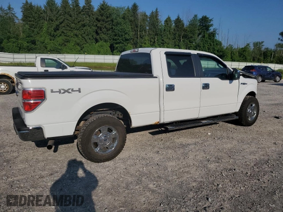 2014 Ford F-150 XL with VIN 1FTFW1EF3EFC97880, listed as a Copart auction lot 64822215 with 105,437 mi miles and Salvage title. Bid and sale history available at DreamBid. Image 3.