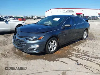 2019 Chevrolet Malibu LS with VIN 1G1ZB5ST1KF142016, listed as a IAAI auction lot 41770598 with 117,175 mi miles and . Bid and sale history available at DreamBid. Image 17.