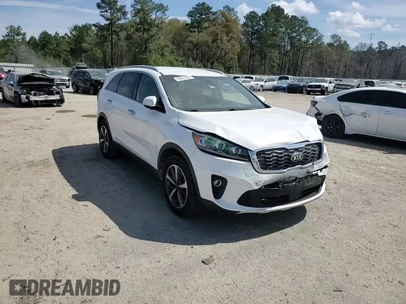 2019 Kia Sorento EX V6 with VIN 5XYPH4A58KG541903, listed as a Copart auction lot 50917225 with 97,284 mi miles and Salvage Title. Bid and sale history available at carsss.com. Image 12.