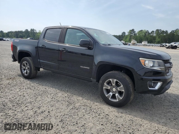 2018 Chevrolet Colorado 4WD Z71 with VIN 1GCGTDEN9J1192144, listed as a Copart auction lot 53122125 with 170,032 mi miles and Salvage title. Bid and sale history available at DreamBid. Image 4.