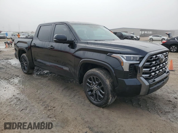2023 Toyota Tundra 2WD Platinum with VIN 5TFNA5AB5PX026479, listed as a Copart auction lot 83395714 with 13,056 mi miles and Non Repairable. Bid and sale history available at carsss.com. Image 4.