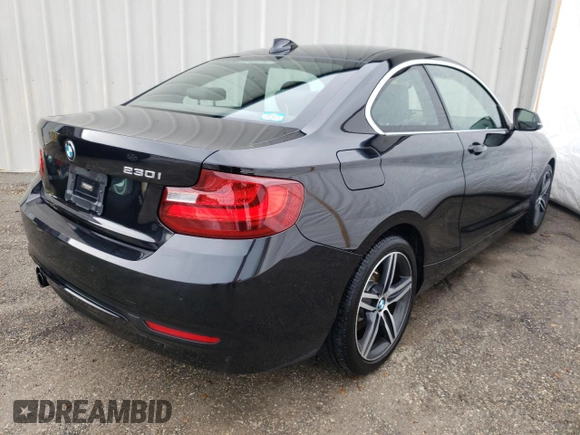 2017 BMW 2 Series 230i with VIN WBA2F9C34HV983861, listed as a Copart auction lot 55529702 with 127,487 mi miles. Bid and sale history available at carsss.com. Image 4.