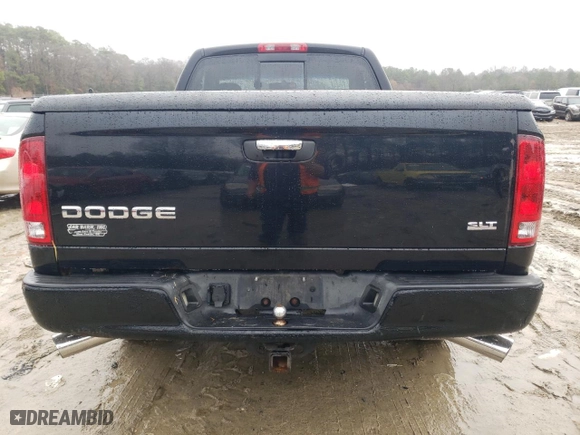 2003 Dodge Ram 1500 ST with VIN 1D7HA16D03J575638, listed as a Copart auction lot 85055804 with 0 mi miles and Salvage Title. Bid and sale history available at carsss.com. Image 6.