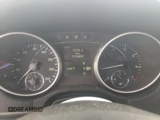 2009 Mercedes-Benz GL-Class 4.6L with VIN 4JGBF71E39A449301, listed as a Copart auction lot 76270754 with 115,009 mi miles and Salvage Title. Bid and sale history available at carsss.com. Image 9.