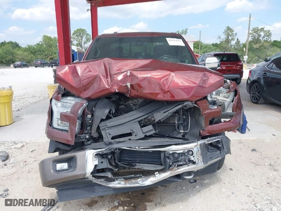 2017 Ford F-150 XL with VIN 1FTEW1EG5HFA48487, listed as a IAAI auction lot 41913934 with 92,620 mi miles. Bid and sale history available at carsss.com. Image 12.