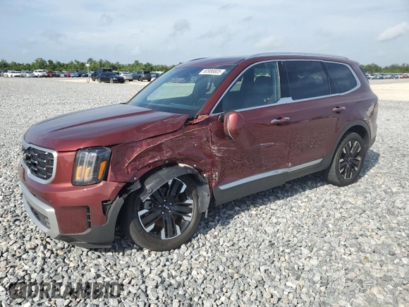 2024 Kia Telluride SX Prestige X-Pro с VIN 5XYP5DGC1RG416363, выставлен на аукционе Copart как лот 60986805 с пробегом 28 771 миль миль и Списание • Salvage title. История ставок и продаж доступна на DreamBid. Изображение 1.