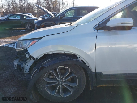 2020 Honda CR-V EX with VIN 7FARW1H58LE027145, listed as a IAAI auction lot 41420458 with 46,076 mi miles. Bid and sale history available at carsss.com. Image 6.