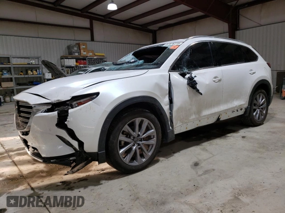 2022 Mazda CX-9 Grand Touring with VIN JM3TCBDY6N0622925, listed as a Copart auction lot 87876315 with 34,446 mi miles and Salvage Title. Bid and sale history available at carsss.com. Image 1.