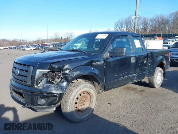 2010 Ford F-150 XL with VIN 1FTEX1EW2AFD38194, listed as a IAAI auction lot 41773805 with 143,313 mi miles. Bid and sale history available at carsss.com. Image 2.