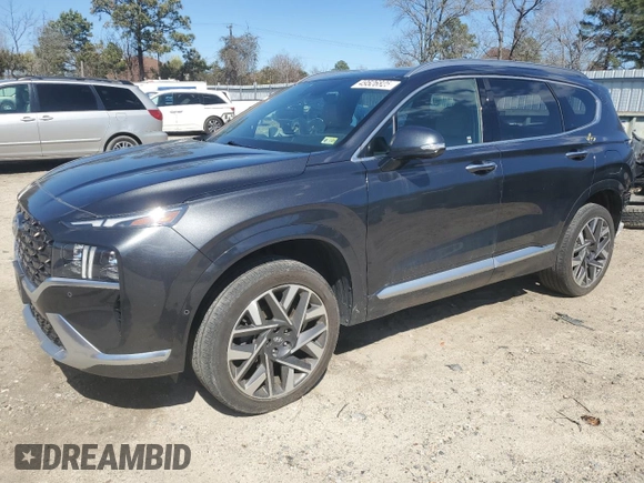 2023 Hyundai Santa Fe Calligraphy with VIN 5NMS5DAL6PH536486, listed as a Copart auction lot 49526825 with 21,560 mi miles and Salvage Title. Bid and sale history available at carsss.com. Image 1.