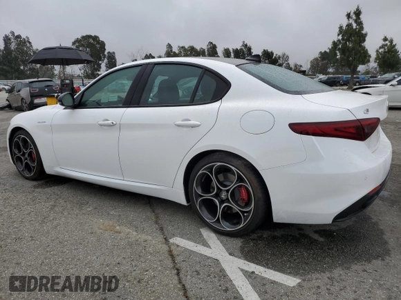 2022 Alfa Romeo Giulia Veloce with VIN ZARFAMBN9N7666141, listed as a Copart auction lot 55566014 with 3,391 mi miles and Salvage Title. Bid and sale history available at carsss.com. Image 2.