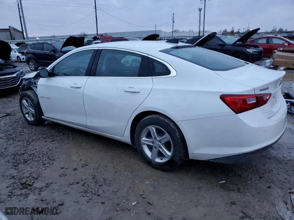 2024 Chevrolet Malibu LS with VIN 1G1ZC5ST3RF179639, listed as a Copart auction lot 81600024 with 19,080 mi miles and Salvage Title. Bid and sale history available at carsss.com. Image 2.