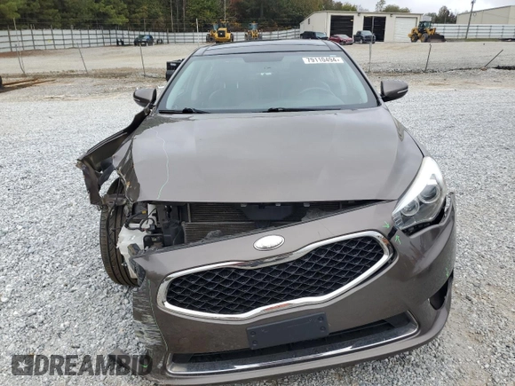 2014 Kia Cadenza Premium with VIN KNALN4D71E5129725, listed as a Copart auction lot 79110494 with 76,919 mi miles and Salvage Title. Bid and sale history available at carsss.com. Image 5.