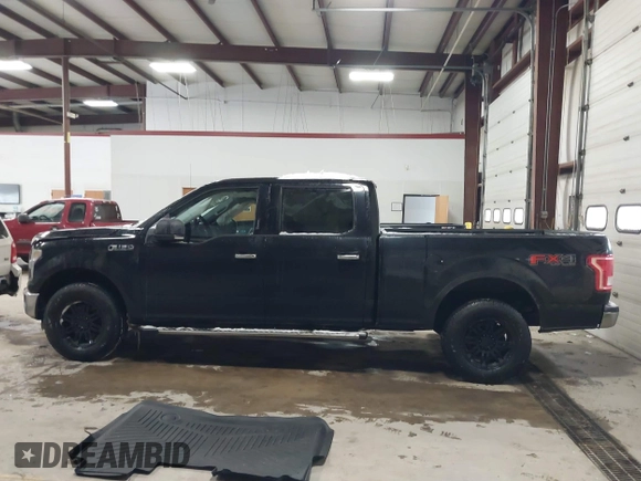 2016 Ford F-150 XLT with VIN 1FTFW1EF2GFA77374, listed as a IAAI auction lot 41352961 with 133,186 mi miles. Bid and sale history available at carsss.com. Image 14.