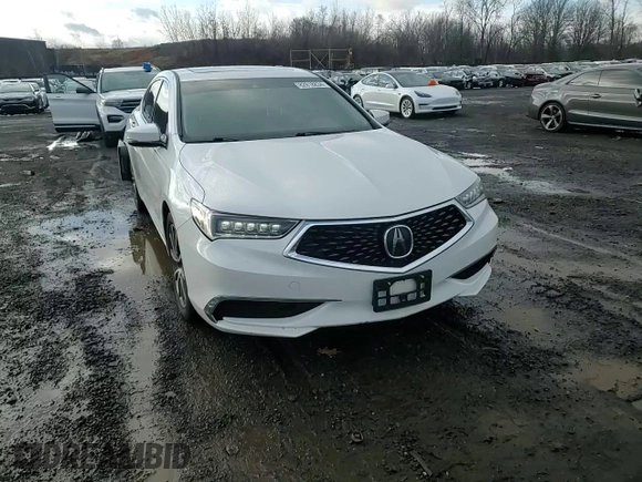 2019 Acura TLX with VIN 19UUB2F31KA001469, listed as a Copart auction lot 82818834 with 64,498 mi miles and Salvage Title. Bid and sale history available at carsss.com. Image 10.