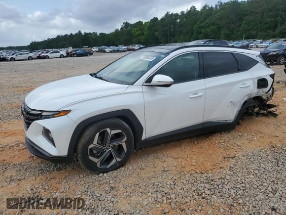 2022 Hyundai Tucson Limited with VIN 5NMJE3AE2NH018122, listed as a Copart auction lot 53956045 with 75,983 mi miles and Salvage title. Bid and sale history available at DreamBid. Image 1.