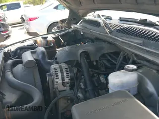 2001 Chevrolet Silverado 1500 LS with VIN 2GCEC19T311143952, listed as a IAAI auction lot 42053727 with 299,273 mi miles and . Bid and sale history available at DreamBid. Image 19.