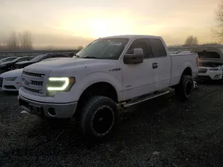 2013 Ford F-150 XL with VIN 1FTFX1CT6DFC88336, listed as a Copart auction lot 84088974 with 124,538 mi miles and Salvage Title. Bid and sale history available at carsss.com. Image 1.