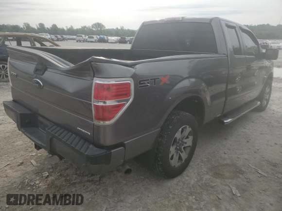 2013 Ford F-150 XL with VIN 1FTEX1CM2DFB20777, listed as a Copart auction lot 59378055 with 163,128 mi miles and Salvage title. Bid and sale history available at DreamBid. Image 3.