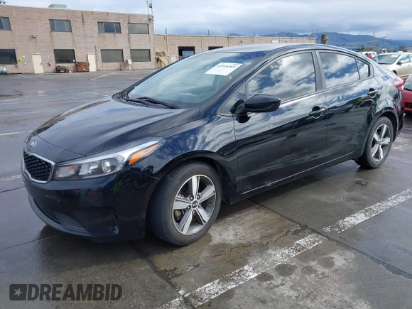 2018 Kia Forte LX with VIN 3KPFL4A79JE262984, listed as a IAAI auction lot 41518365 with 119,189 mi miles and . Bid and sale history available at DreamBid. Image 16.