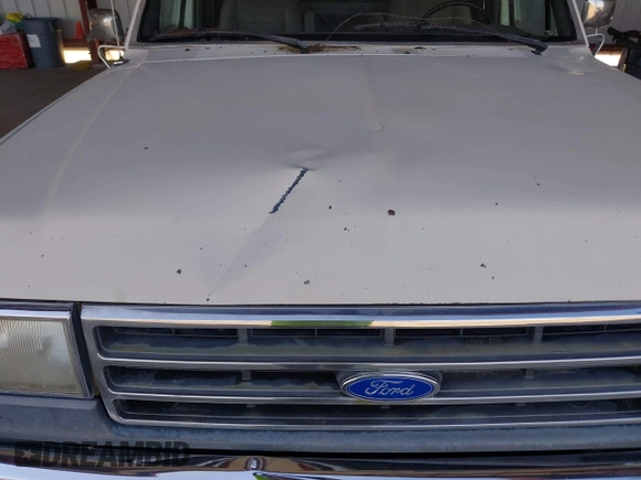 1991 Ford F-250 with VIN 1FTHX26MXMKA72774, listed as a IAAI auction lot 42121856 with 7,483 mi miles. Bid and sale history available at carsss.com. Image 6.