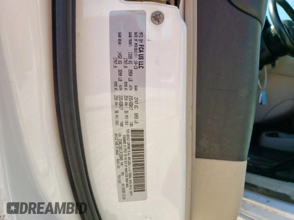 2020 Chrysler Pacifica Touring L with VIN 2C4RC1BG7LR125649, listed as a Copart auction lot 57873365 with 117,114 mi miles and Salvage title. Bid and sale history available at DreamBid. Image 13.