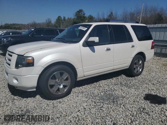 2010 Ford Expedition Limited with VIN 1FMJU1K55AEB69700, listed as a Copart auction lot 48839865 with 185,343 mi miles and Salvage title. Bid and sale history available at DreamBid. Image 1.
