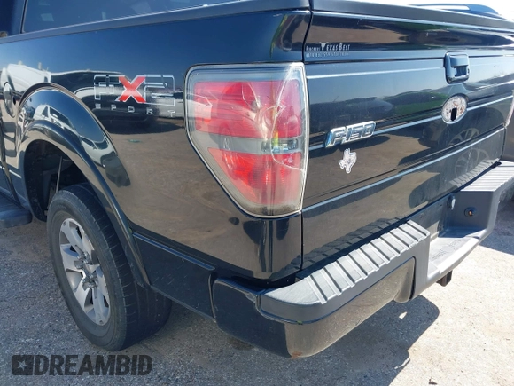 2010 Ford F-150 XL with VIN 1FTEW1C86AKC00706, listed as a IAAI auction lot 41612767 with 202,550 mi miles. Bid and sale history available at carsss.com. Image 17.